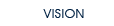 Vision