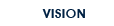 Vision